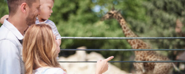 parc zoologique en auvergne