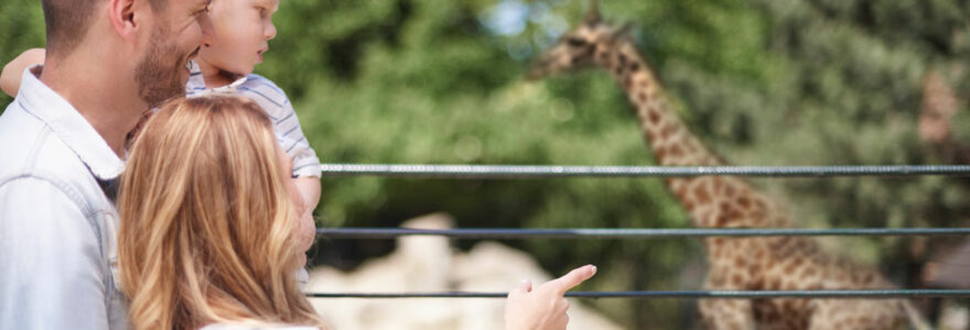 parc zoologique en auvergne